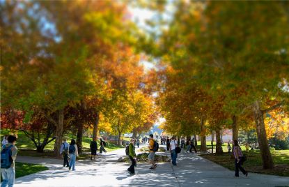 Picture of UBSI Block 3 Tuition (Regular)