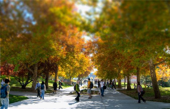 Picture of UBSI Block 3 Tuition (Regular)