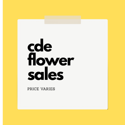 Show details for CDE Flower Sales Picture of CDE Flower Sales